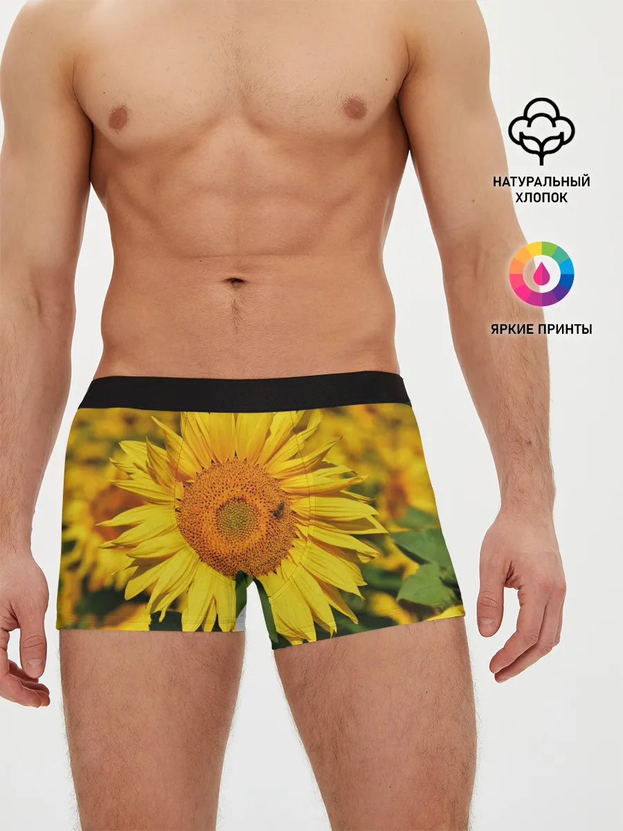 Мужские трусы боксеры / Подсолнух