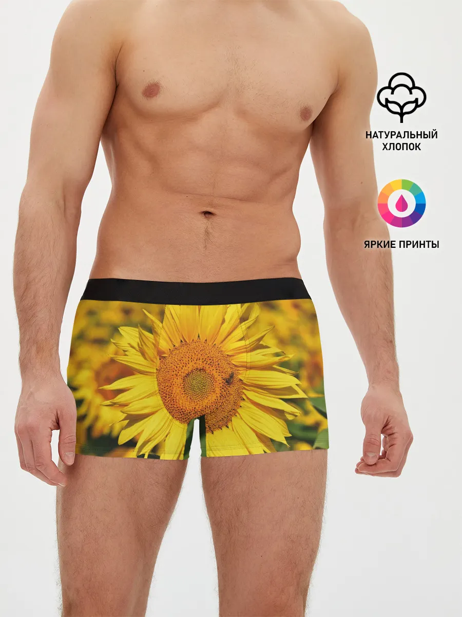 Мужские трусы боксеры / Подсолнух