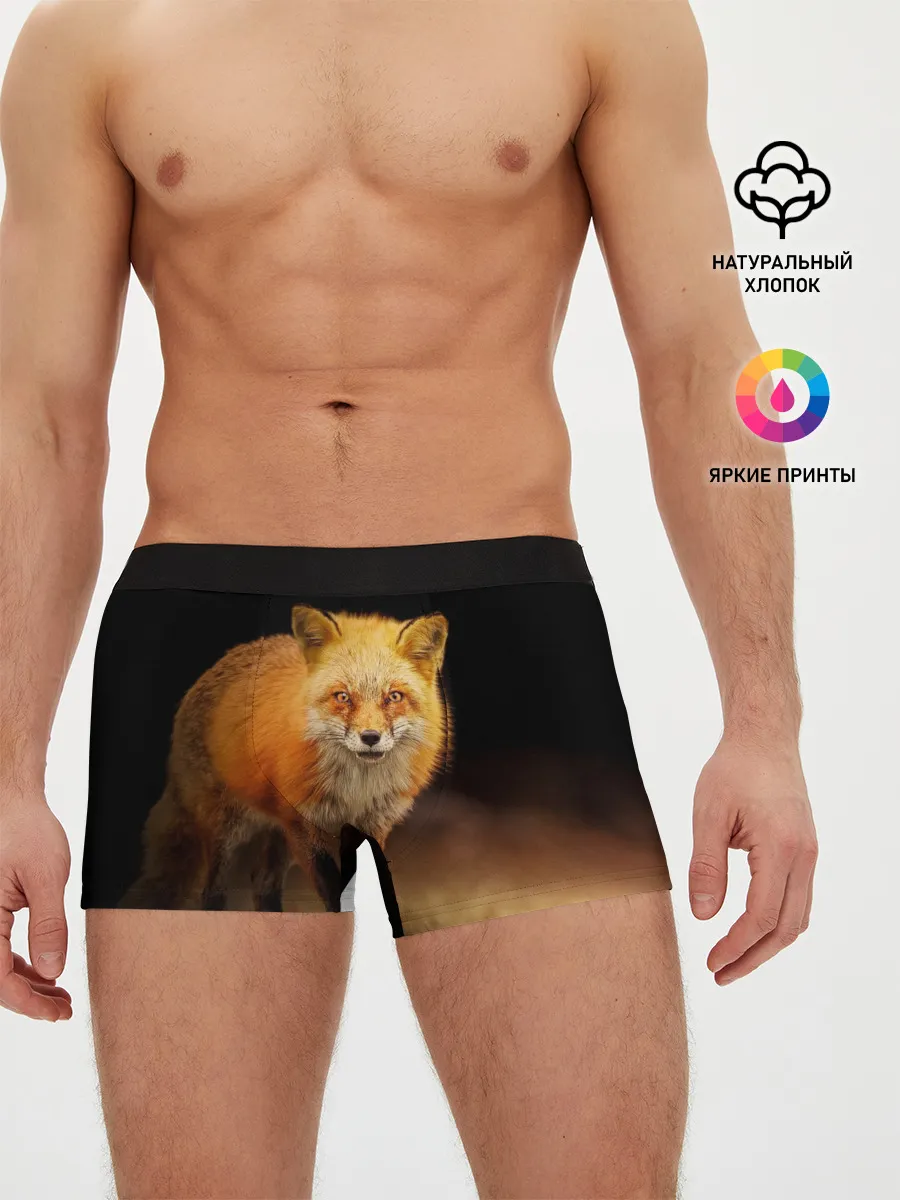 Мужские трусы боксеры / Лиса