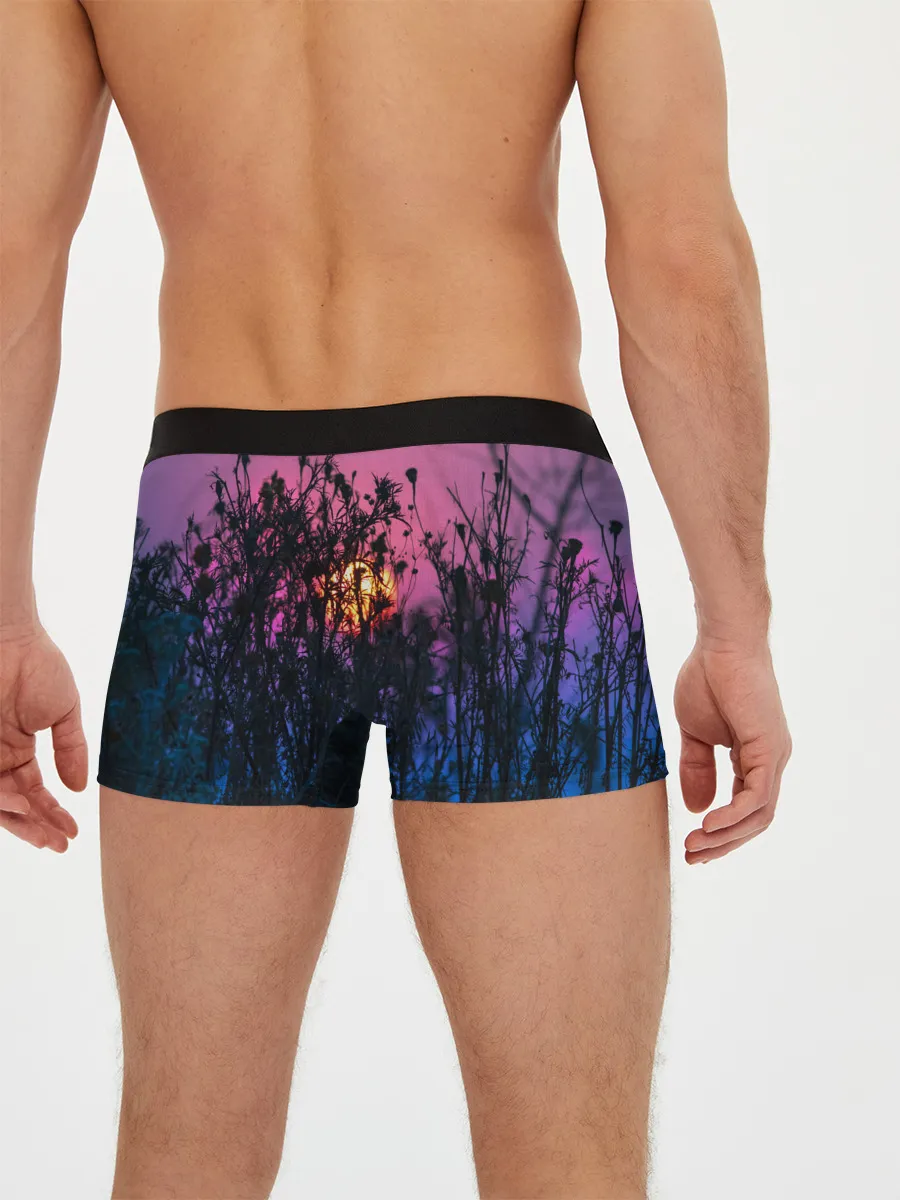 Мужские трусы боксеры / Трава растения закатный свет