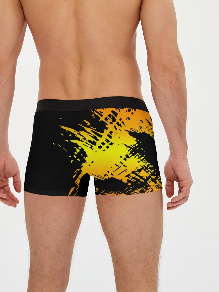 Мужские трусы боксеры / Borderlands