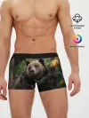 Мужские трусы боксеры / Медведь