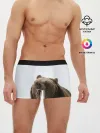 Мужские трусы боксеры / Bear