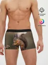 Мужские трусы боксеры / Белка
