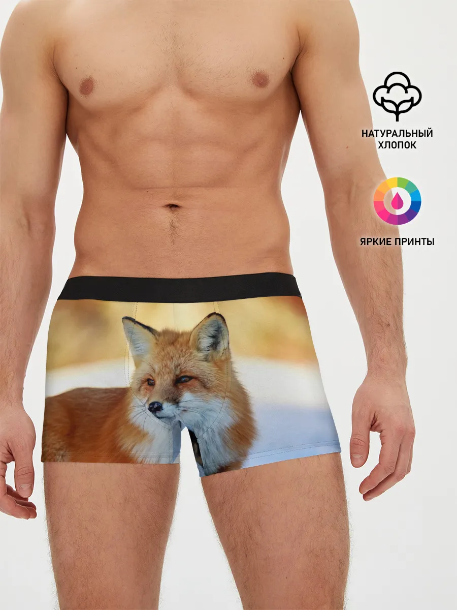 Мужские трусы боксеры / Лиса