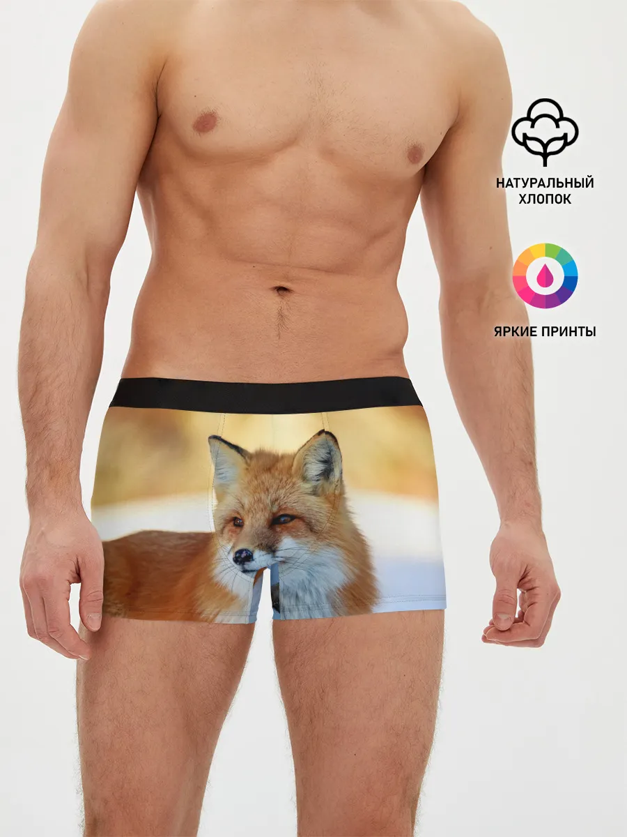 Мужские трусы боксеры / Лиса