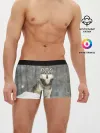 Мужские трусы боксеры / Волк и снег