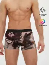 Мужские трусы боксеры / Астер в боевой позе