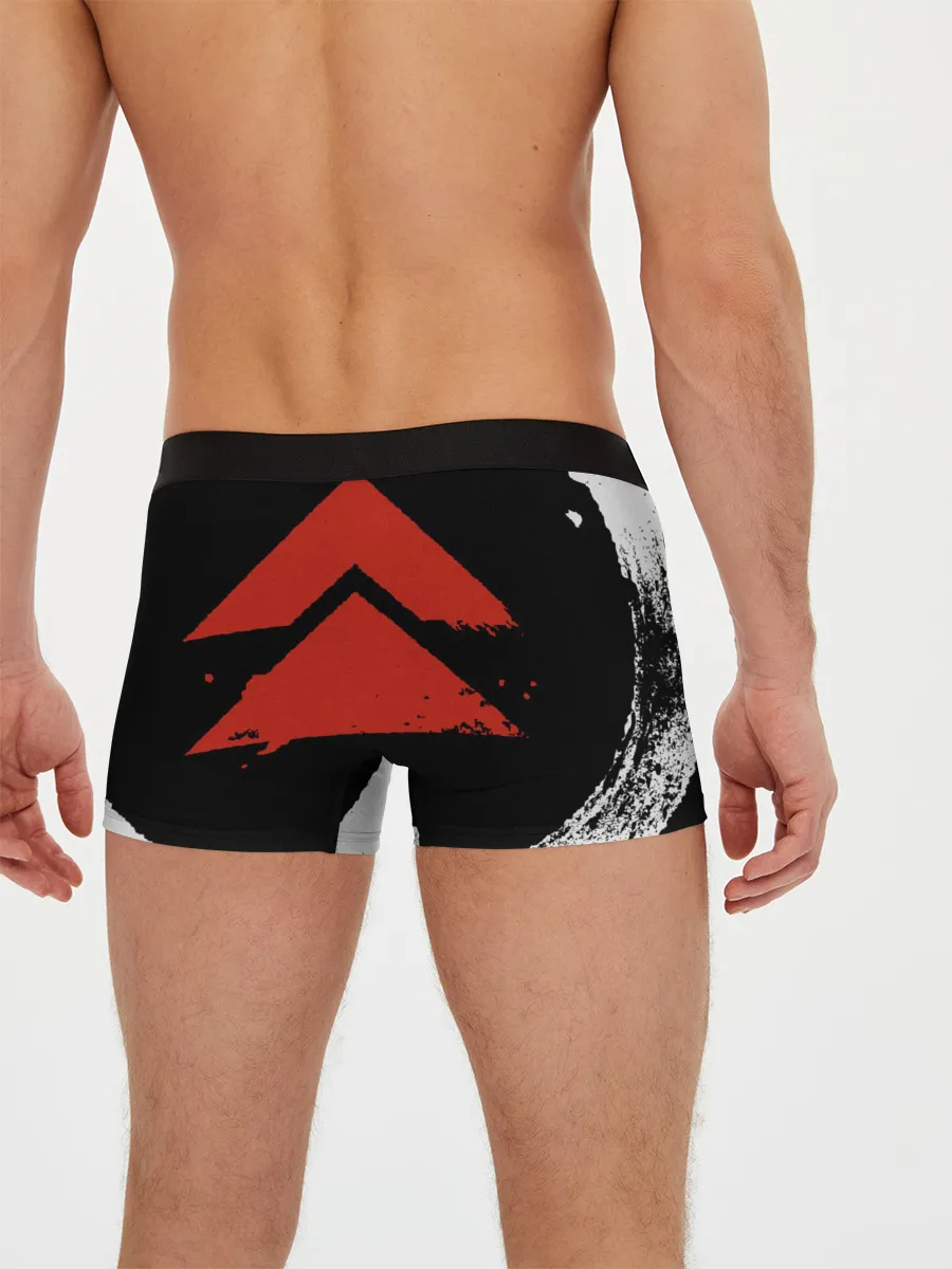 Мужские трусы боксеры / Ghost of Tsushima