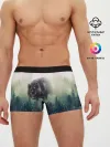 Мужские трусы боксеры / Волк