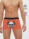 Мужские трусы боксеры / панда-меломан