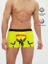 Мужские трусы боксеры / NIRVANA
