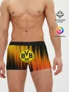 Мужские трусы боксеры / Borussia