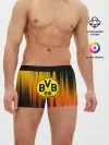 Мужские трусы боксеры / Borussia