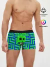 Мужские трусы боксеры / Minecraft | Creeper