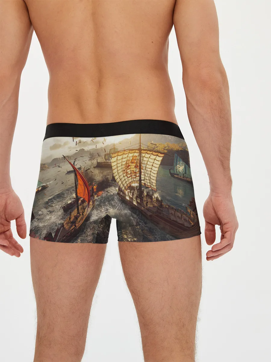 Мужские трусы боксеры / ASSASSINS CREED