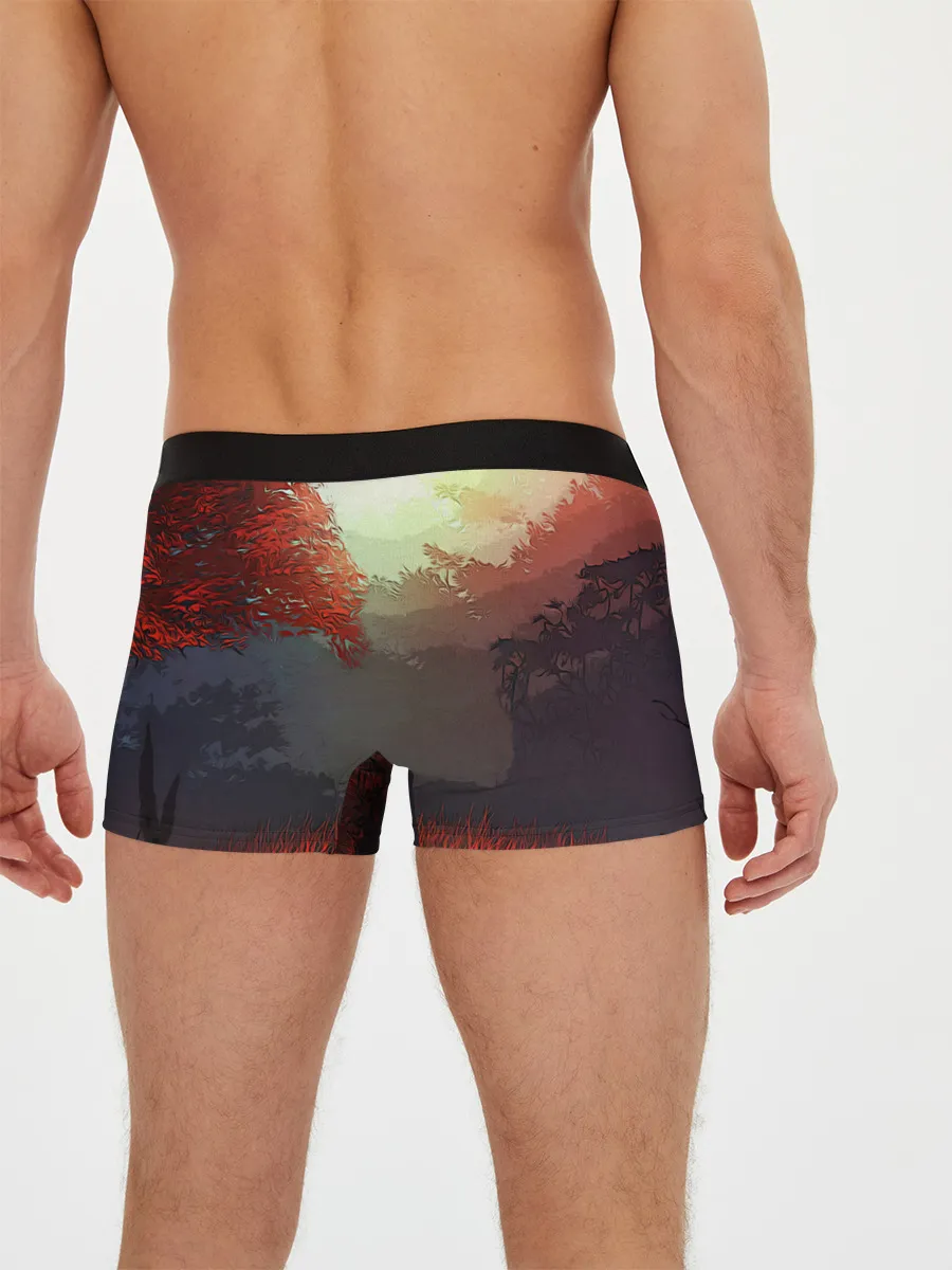 Мужские трусы боксеры / Самурай