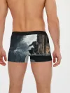 Мужские трусы боксеры / Dishonored