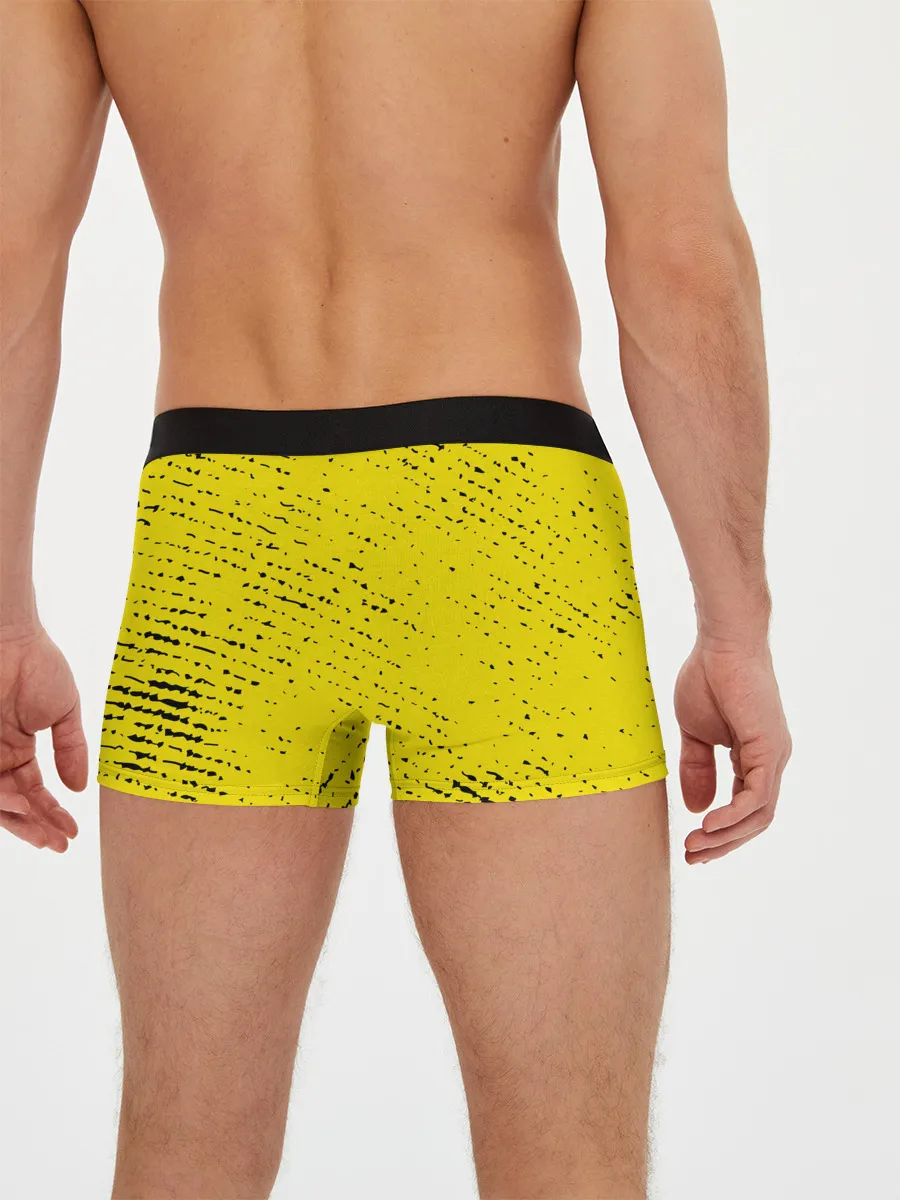 Мужские трусы боксеры / TWENTY ONE PILOTS / 21 PILOTS