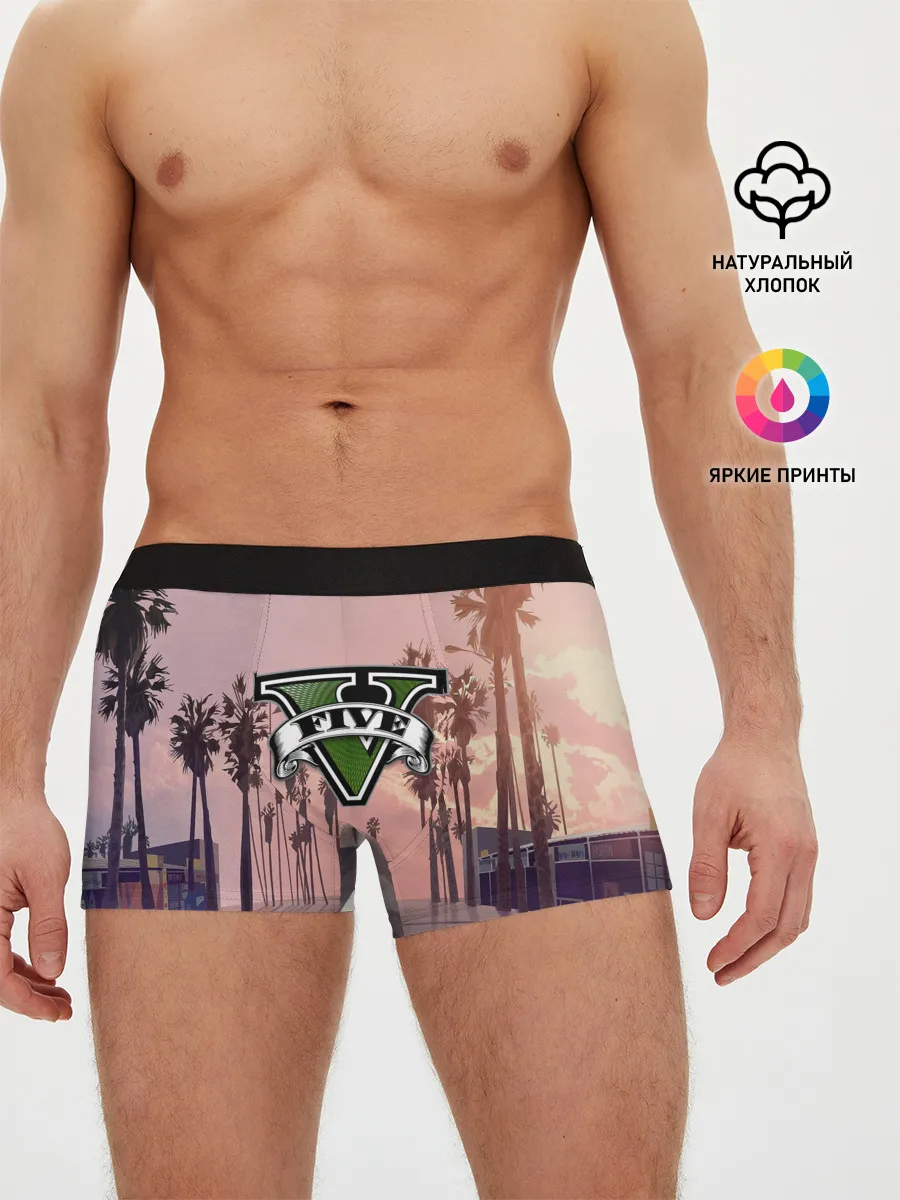 Мужские трусы боксеры / GTA