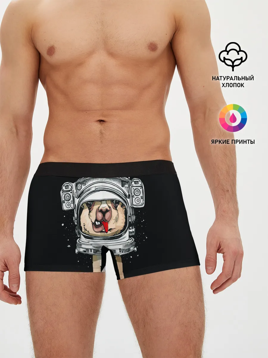 Мужские трусы боксеры / Космическая Лама