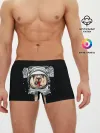 Мужские трусы боксеры / Космическая Лама