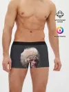 Мужские трусы боксеры / Хабиб Нурмагомедов
