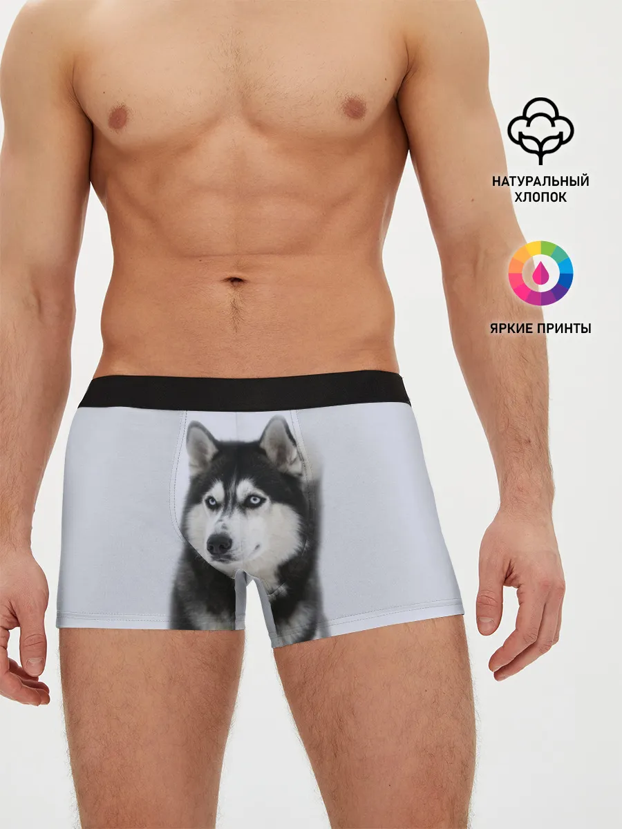 Мужские трусы боксеры / ХАСКИ