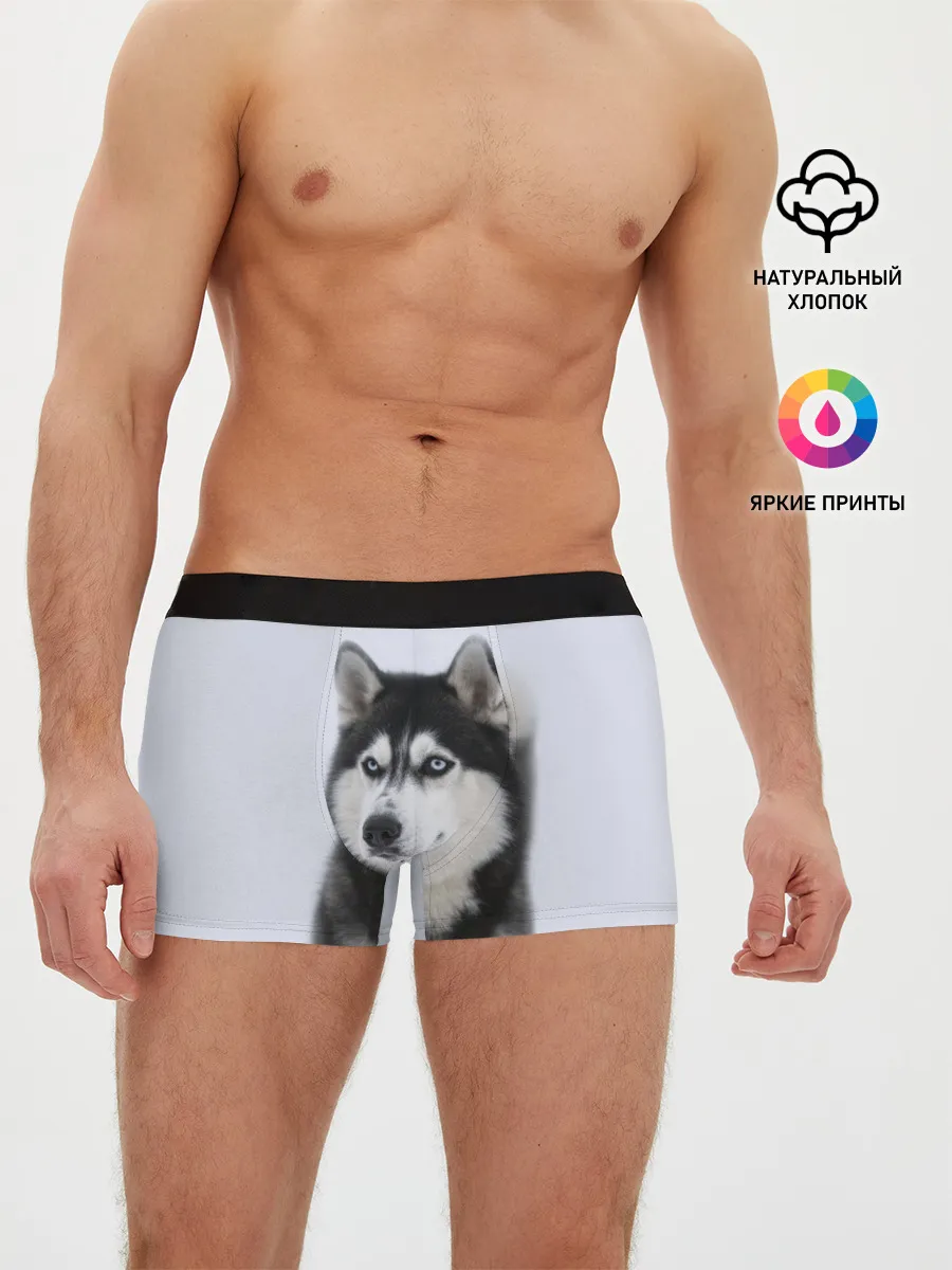 Мужские трусы боксеры / ХАСКИ