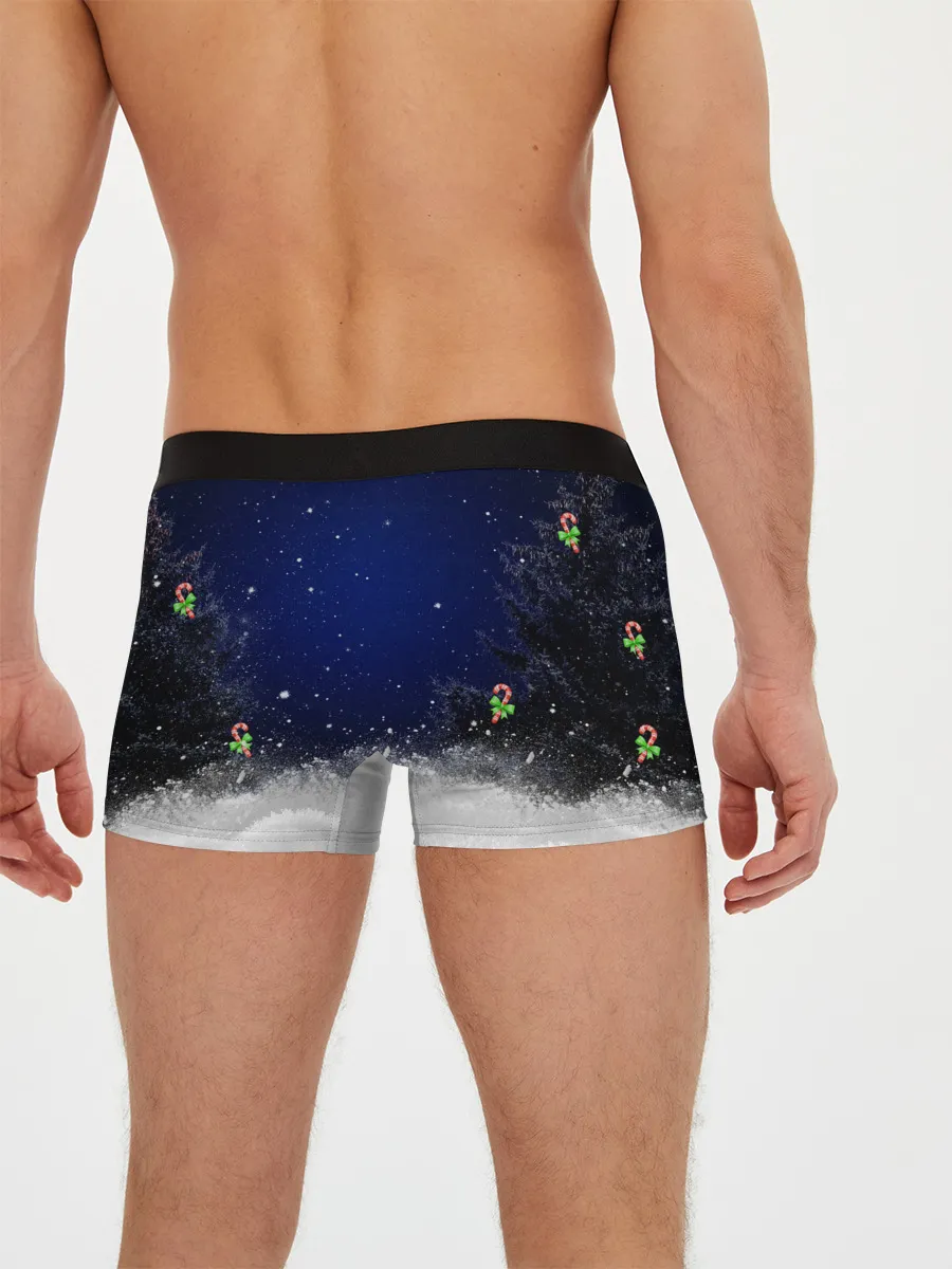 Мужские трусы боксеры / Новогодний Кот