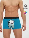 Мужские трусы боксеры / Nyan Cat