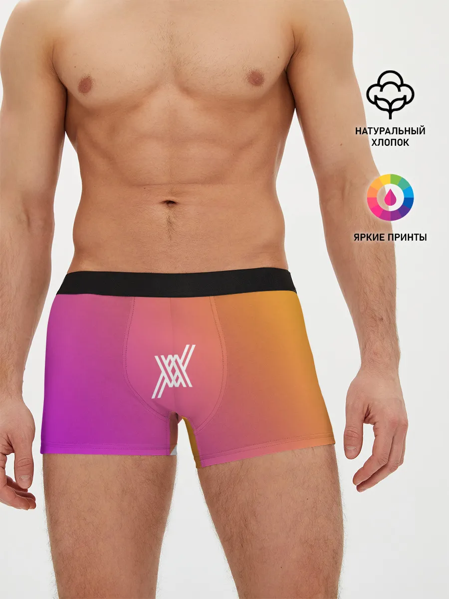 Мужские трусы боксеры / DARLING IN THE FRANXX EP