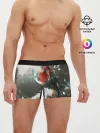 Мужские трусы боксеры / Windranger Dota