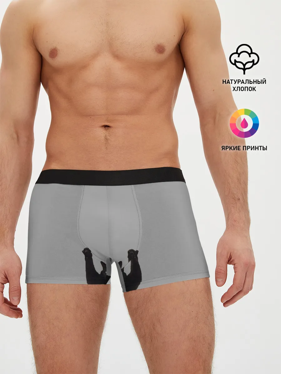 Мужские трусы боксеры / Кот сдается