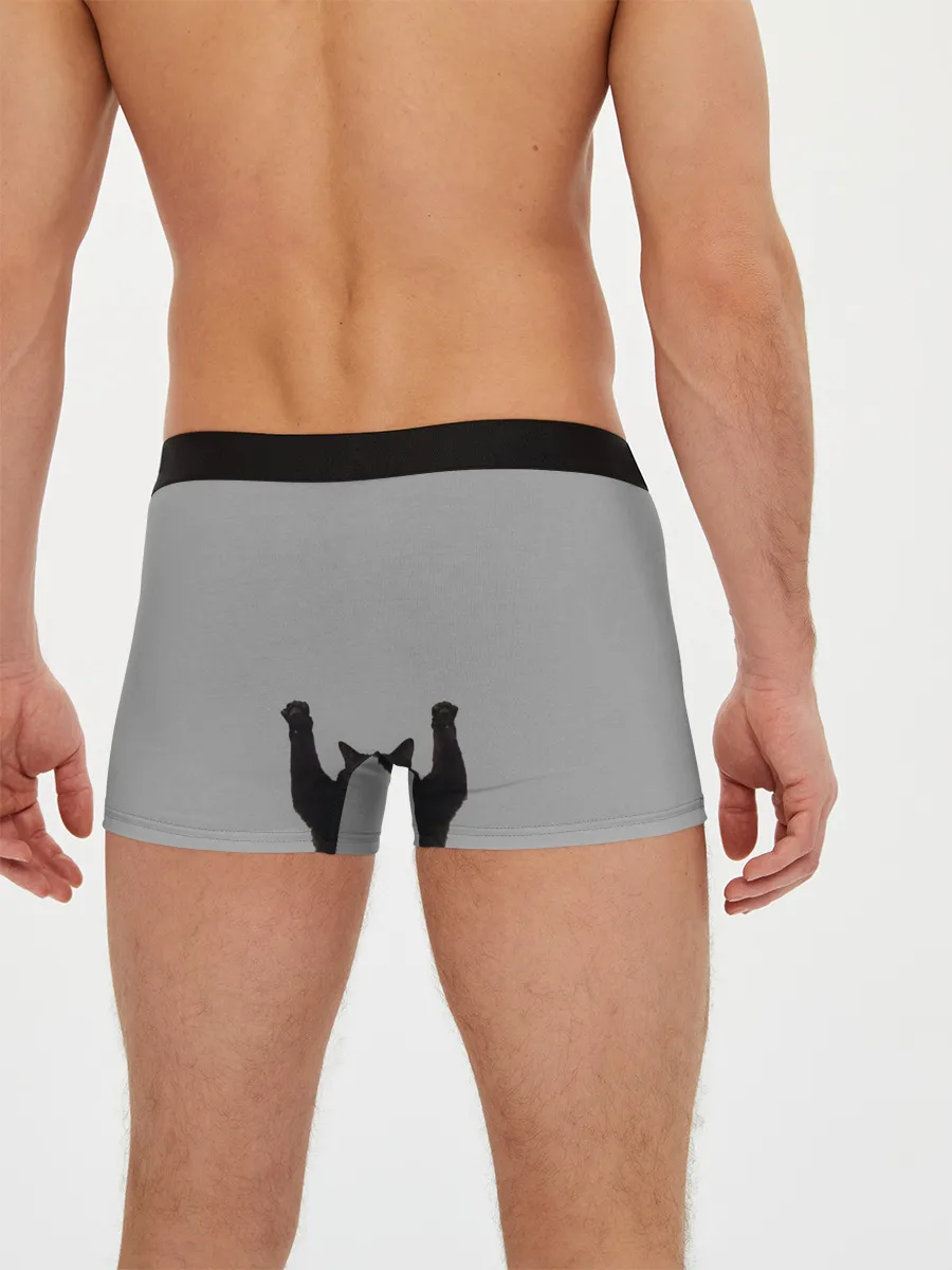 Мужские трусы боксеры / Кот сдается