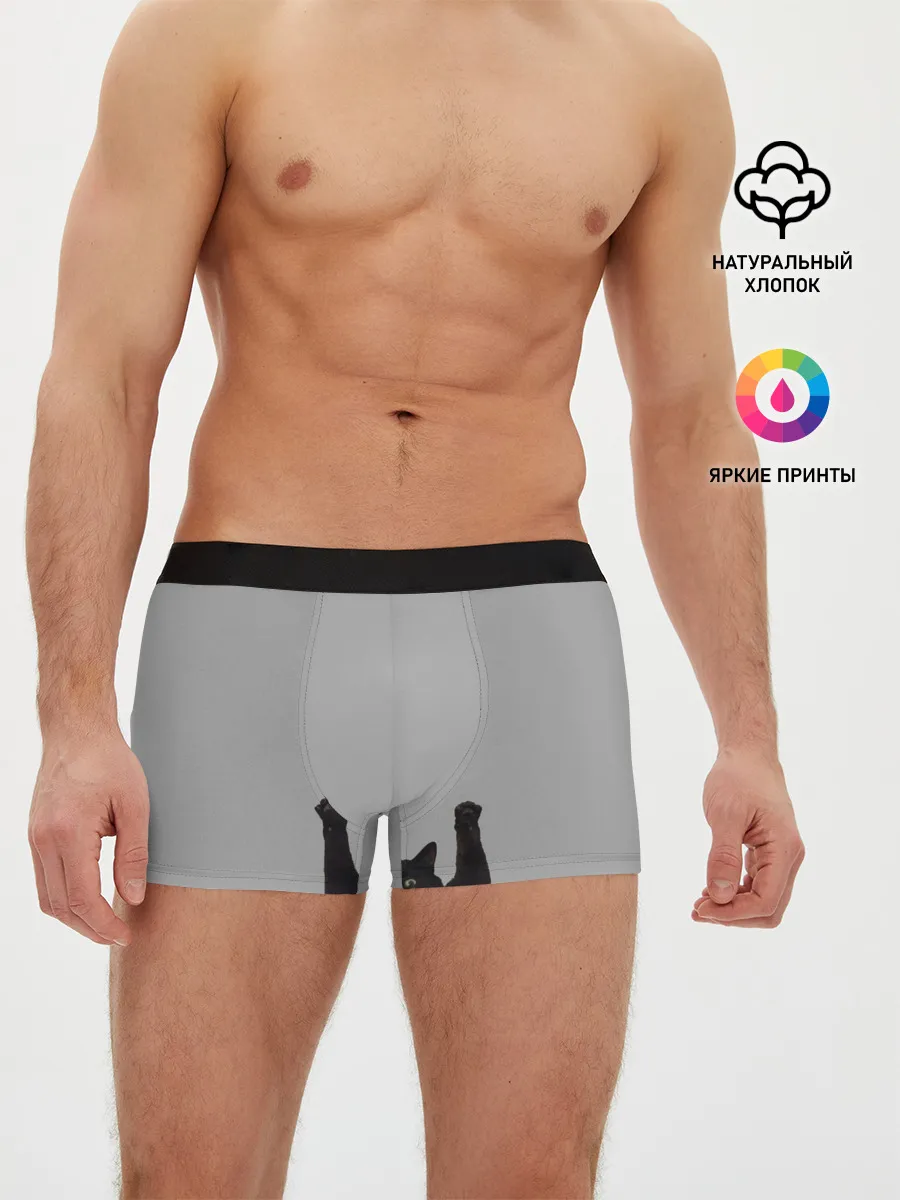 Мужские трусы боксеры / Кот сдается