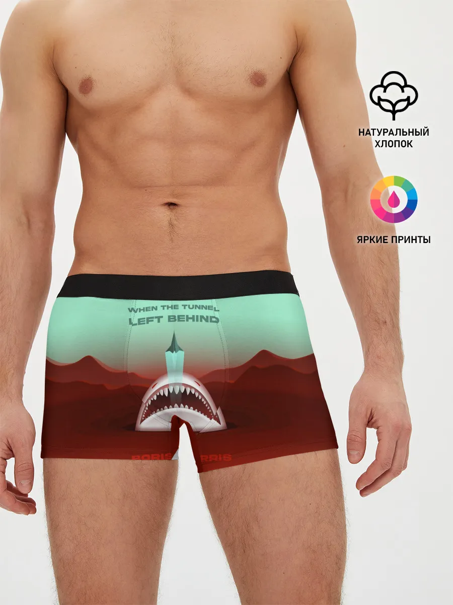 Мужские трусы боксеры / Boris Norris - When the Tunnel