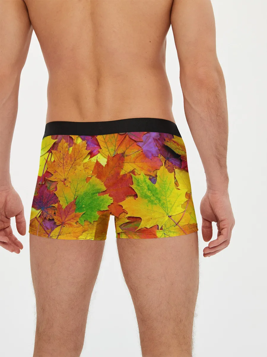 Мужские трусы боксеры / Осенние листья