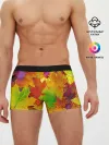 Мужские трусы боксеры / Осенние листья