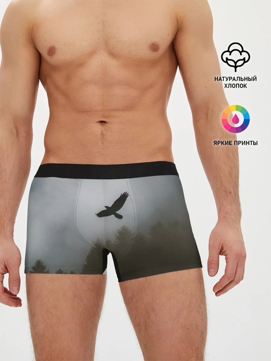 Мужские трусы боксеры / Орёл над лесом