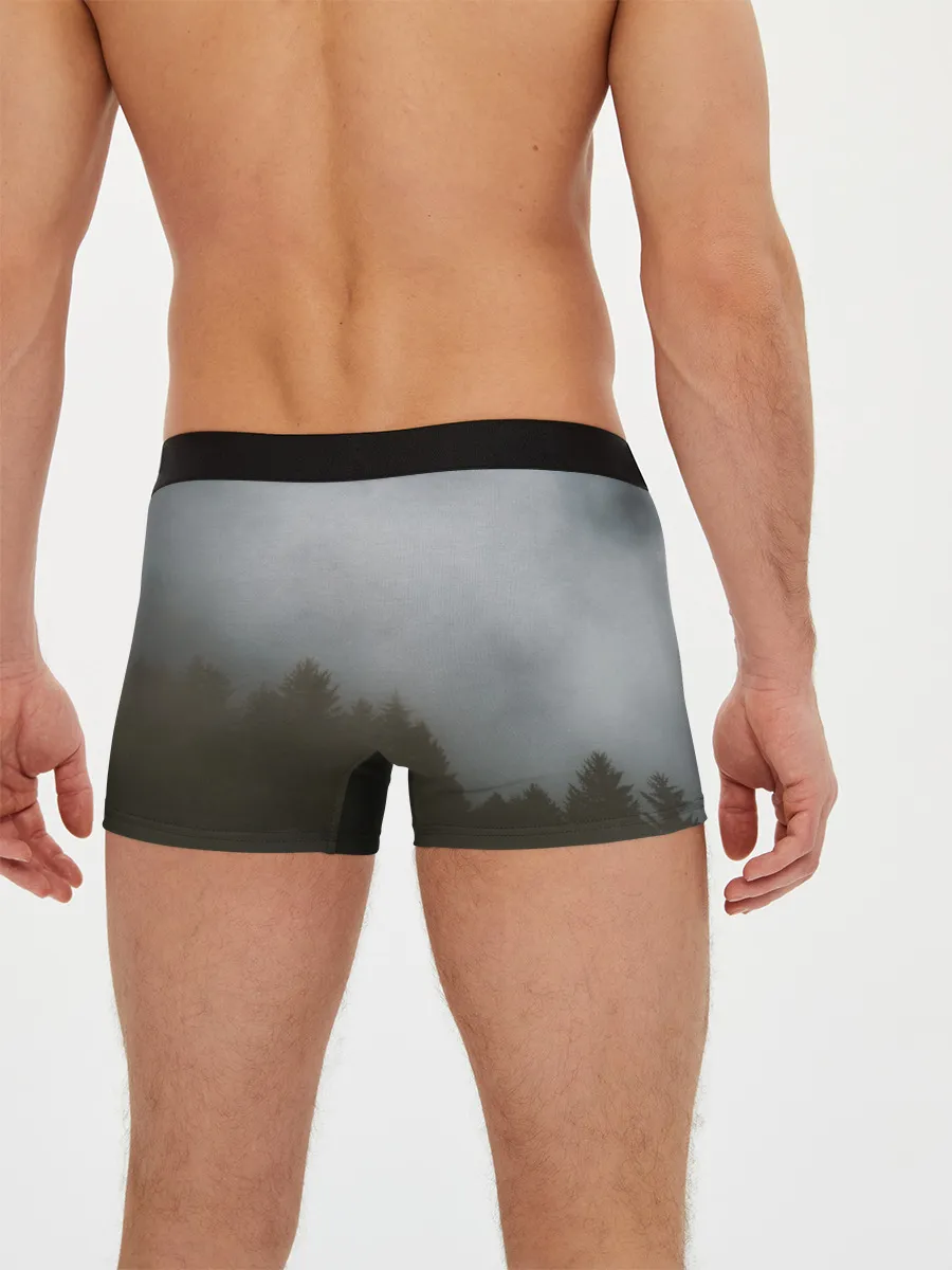 Мужские трусы боксеры / Орёл над лесом