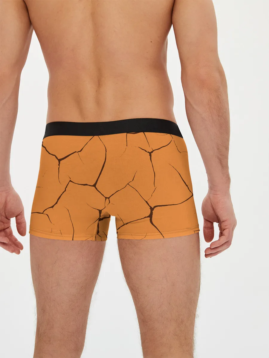 Мужские трусы боксеры / Haunted Family