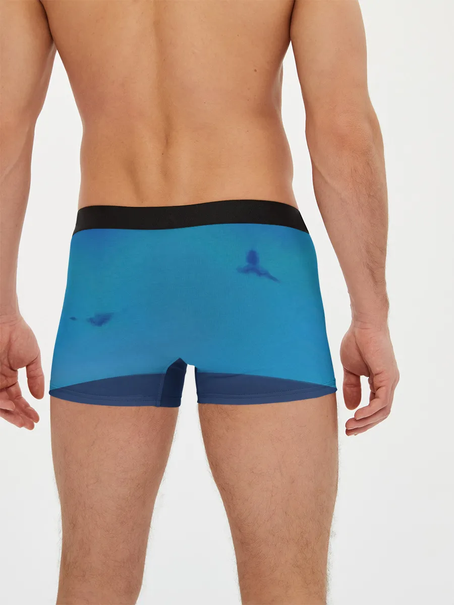 Мужские трусы боксеры / Tower of god Khun Aguero