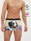 Мужские трусы боксеры / Австралийская Овчарка