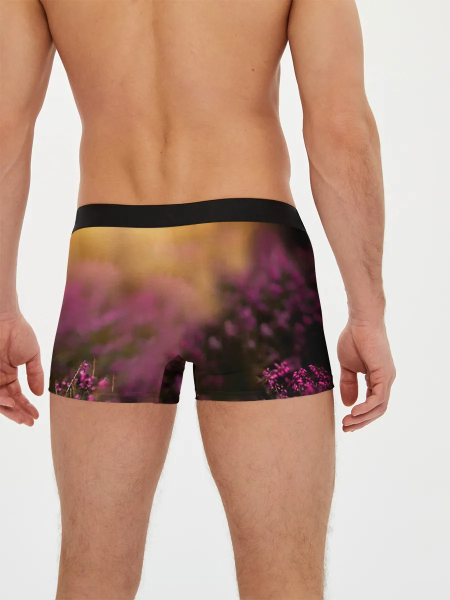 Мужские трусы боксеры / Вельш-корги