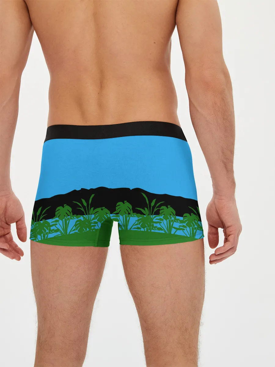 Мужские трусы боксеры / Тихиро гуляет с Каонаси