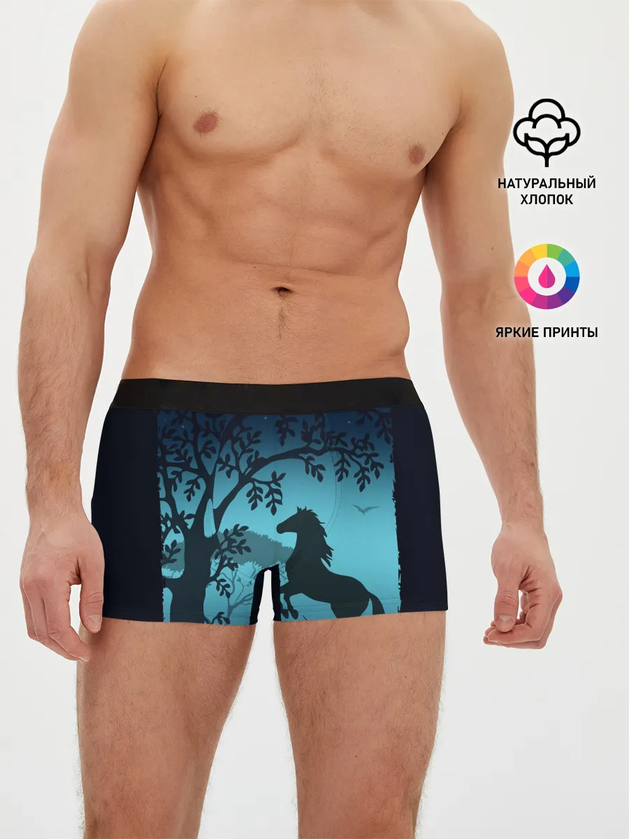 Мужские трусы боксеры / Конь