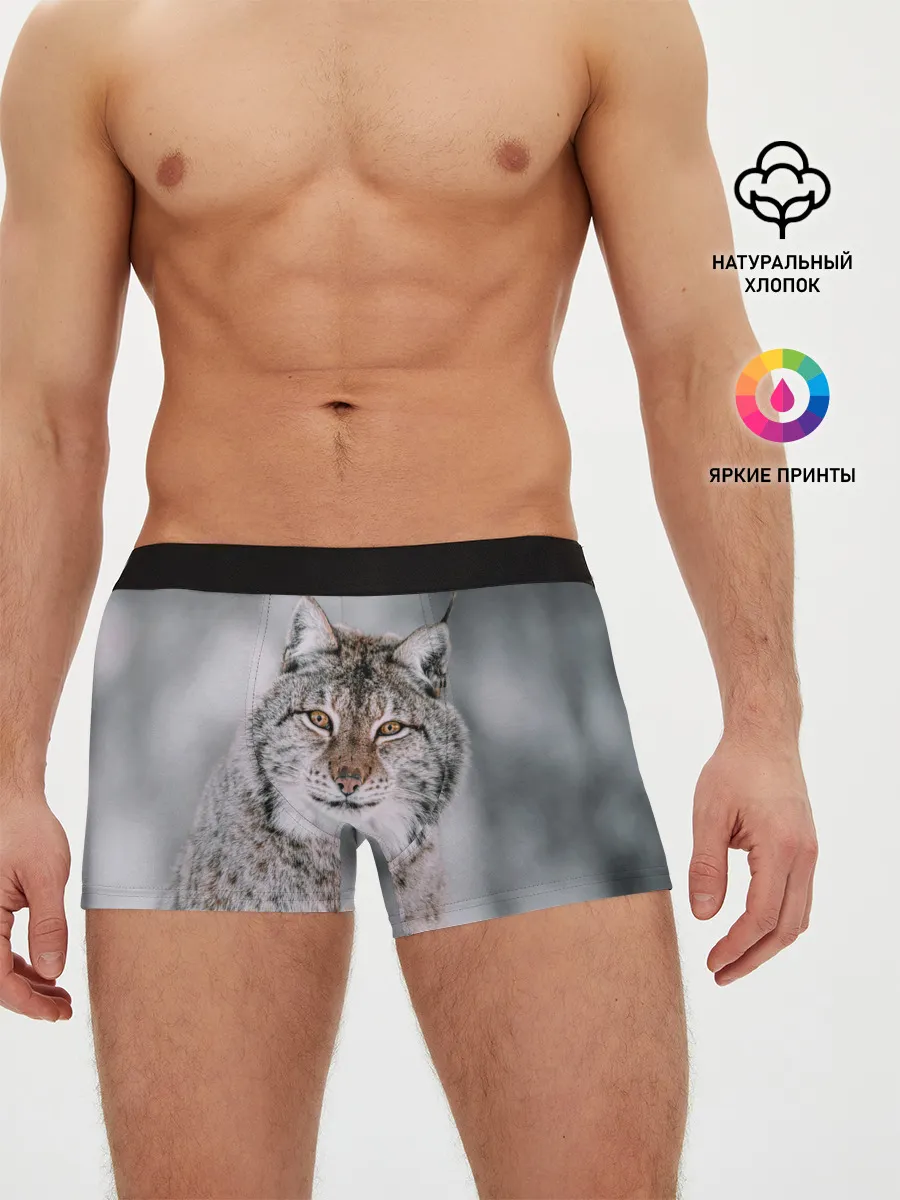 Мужские трусы боксеры / Рысь