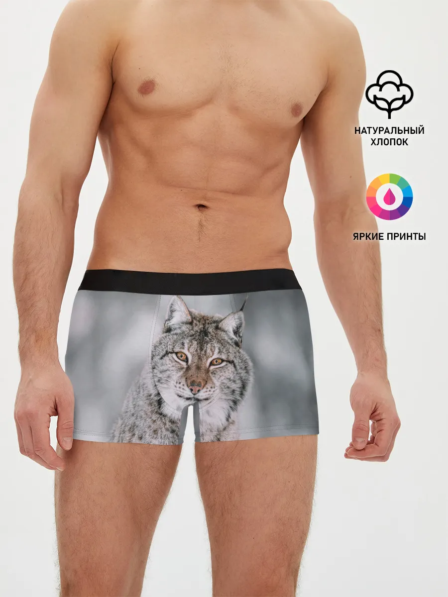 Мужские трусы боксеры / Рысь