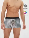 Мужские трусы боксеры / Рысь